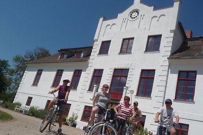 Gut Gerdshagen: Wohnung Gartenblick