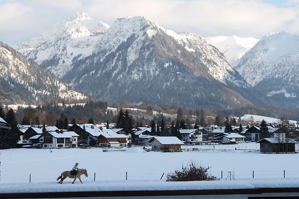 ALPINE CHALET HAUS SONNENBICHL in Oberstdorf Firma