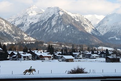 ALPINE CHALET HUIS SONNENBICHL