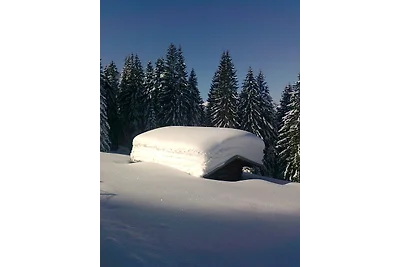CASA CHALET ALPINO SONNENBICHL