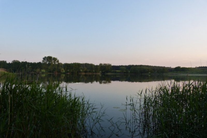 Pesca nocturna en el lago