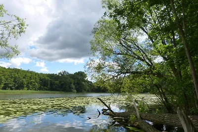 Brandeburgo - Casa vacanze sul lago