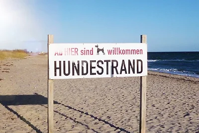 Ferienhaus Weitkämper
