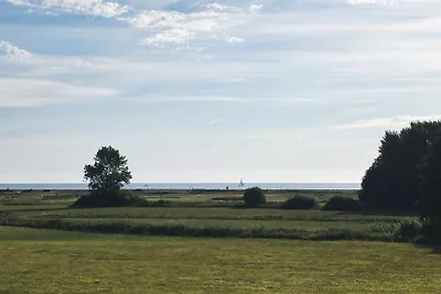 Ferienhaus Weitkämper