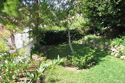 Casa Pepe