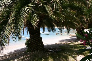♥ directo a la playa @ ♥ | Omis