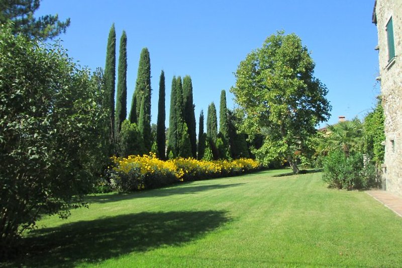 A view of the garden in October.