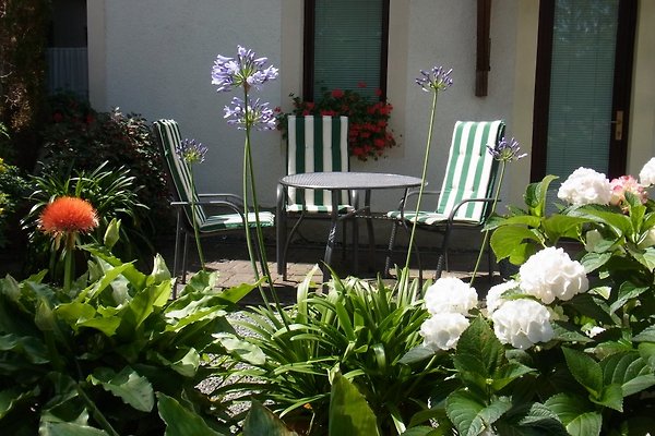 Ferienhof Zur alten Ziegelei in Bad Schandau - immagine 1 Ferienhof Zur alten Ziegelei in Bad Schandau - immagine 1