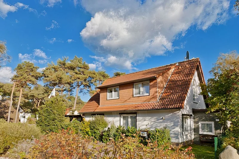 Gezicht op het huis