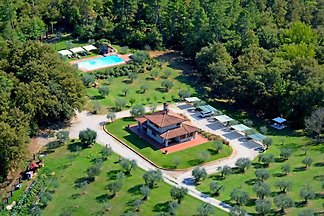 En el campo verde de Toskan