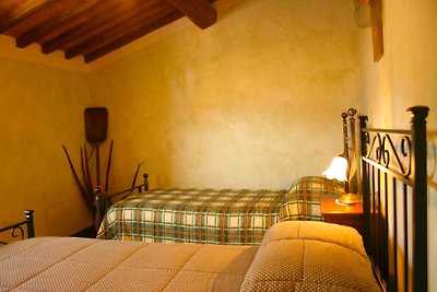 Montana IT841 Castiglion Fiorentino