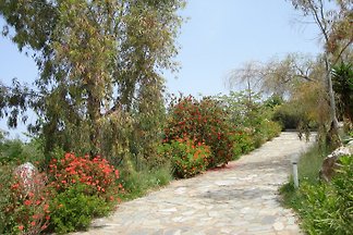 Villa Panorama