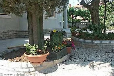 adri appartement