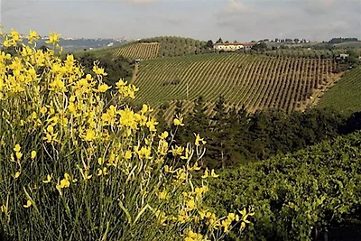 Country House Nazzano-La Coccinella