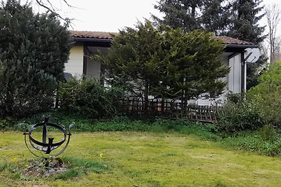 Sotto le querce