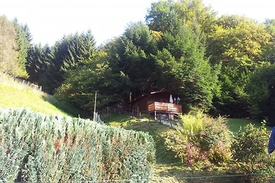 Casa nella foresta / Loreley