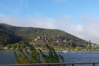 Casa nella foresta / Loreley