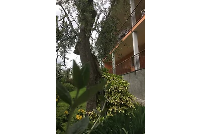 Tonini Apartments
