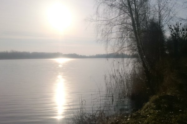 Pani M. Müller Pani M. Müller
