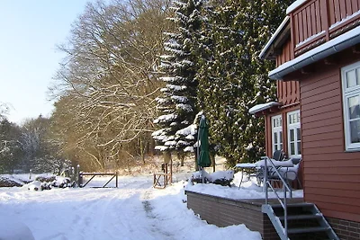 Appartamento con balcone Alte Försterei Prerow