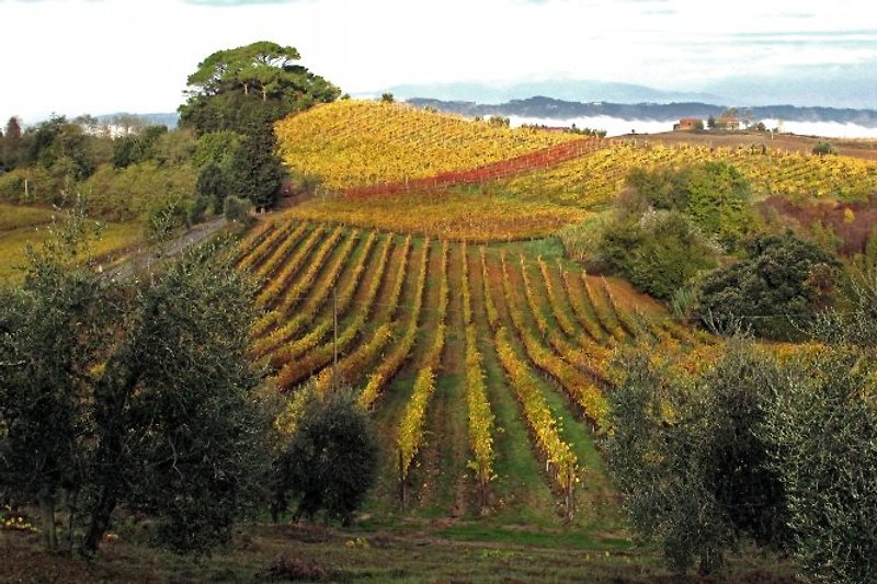 Herbststimmung rund um das Weingut