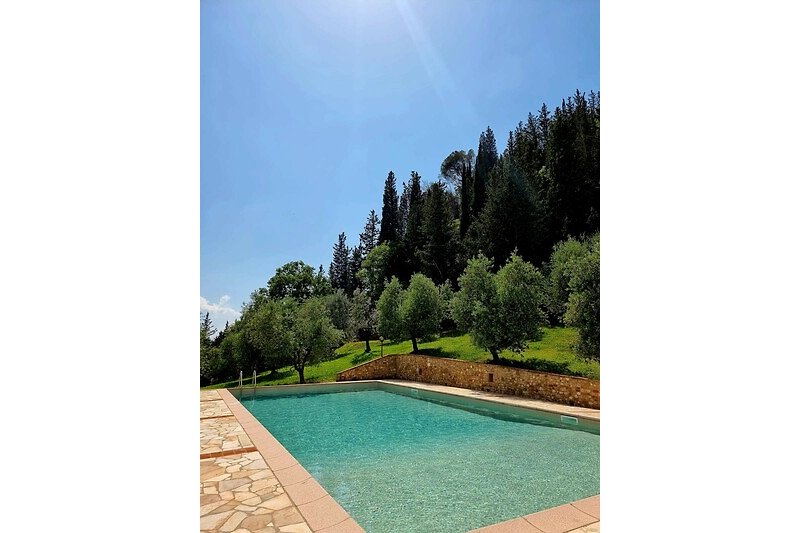 Der Pool ist umgeben von Olivenbäumen und Zypressen