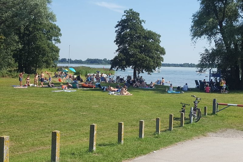 Ein sonniger Tag am See mit Fahrrädern und einer Menschenmenge.