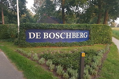 Ferienbungalow De Boschberg 154