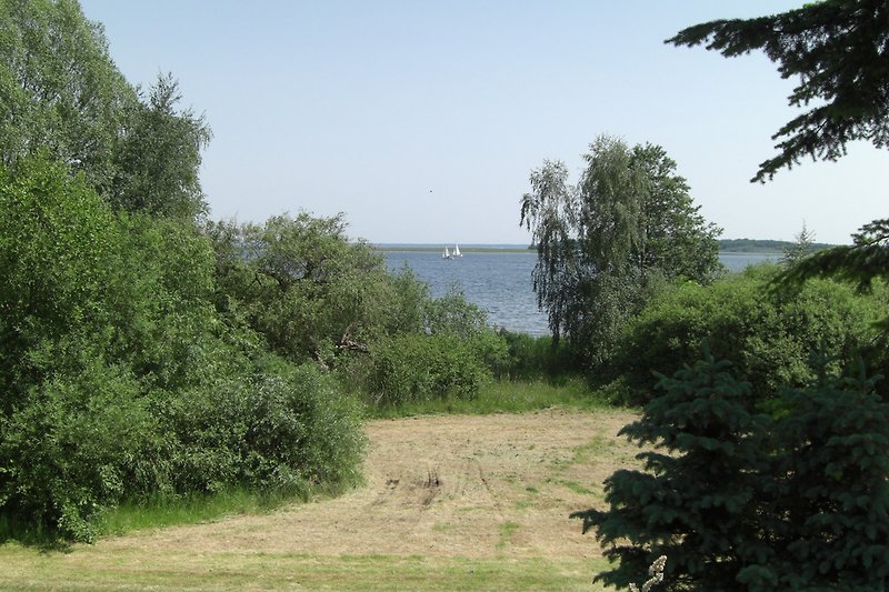 Lakeshore area at the Müritz