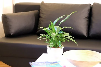 Einbecker Ferienwohnung