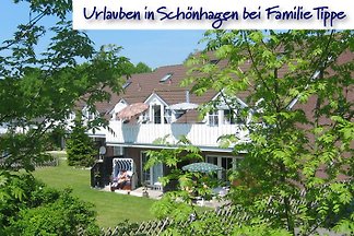 Fam Tapez Schönhagen Baltique