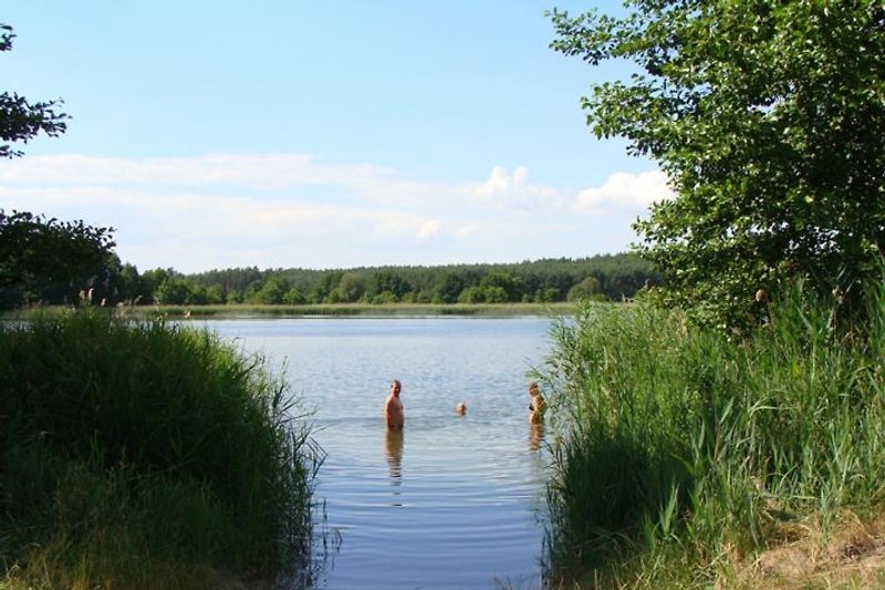 Baignade dans le Glambecksee