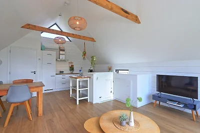 Ferienhaus Singel 3A