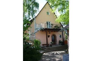 Wohnen am Westpark- Nichtraucher