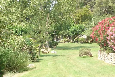 Domaine de Saint-Amour