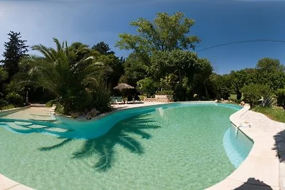 Domaine de Saint-Amour