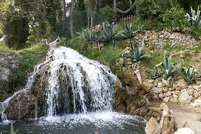 CAMPO DI SAINT-AMOUR