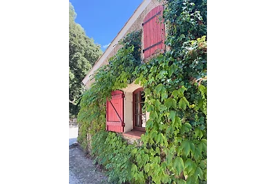 DOMAINE DE ST. AMOUR / OCEANE