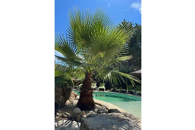 DOMAINE DE ST. AMOUR / LE COTTAGE