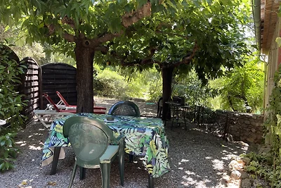 DOMAINE DE ST. AMOUR / OCEANE