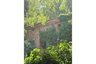 DOMAINE DE ST. AMOUR /  LA BASTIDE