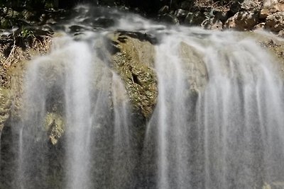 DOMAINE DE ST. AMOUR / OCEANE