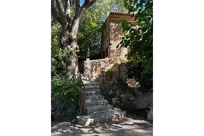 DOMAINE DE ST. AMOUR /  LA BASTIDE