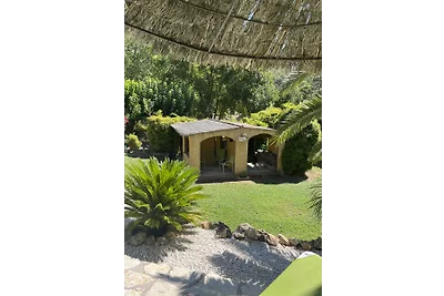 DOMAINE DE ST. AMOUR / OCEANE