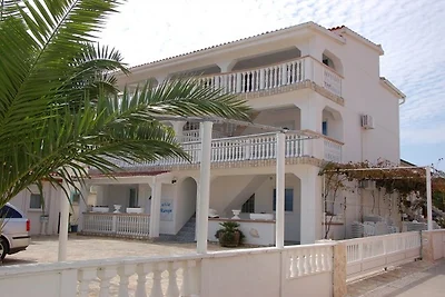 Apartments   Plavo More