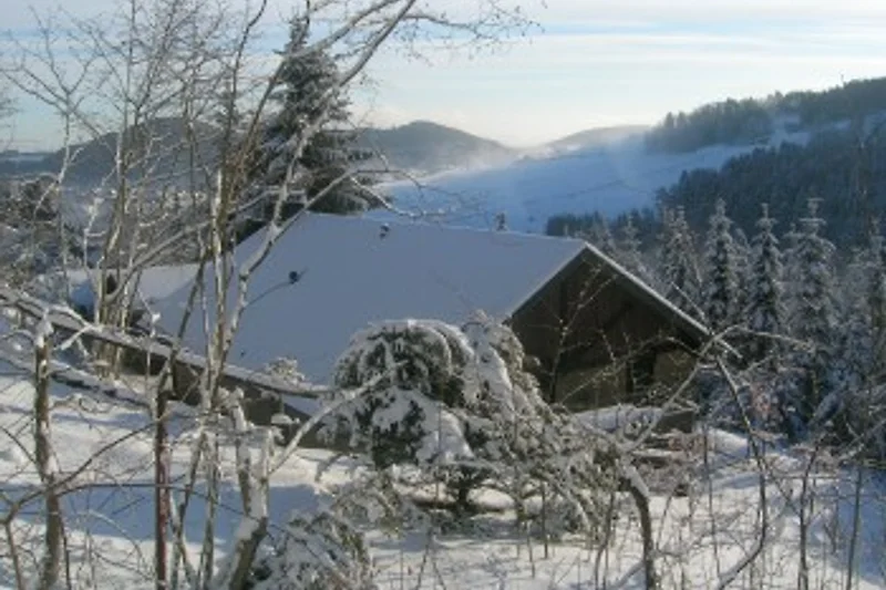 'Willinger-Bergrausch im Winter