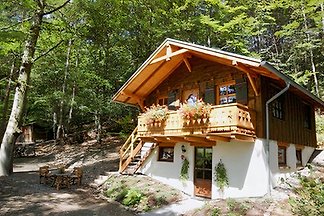 Ferienhaus 'Willinger-Echo'