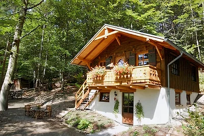 Ferienhaus 'Willinger-Echo'