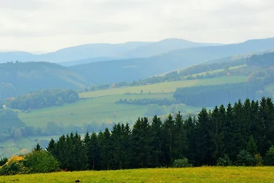  'Willinger-Bergrausch'