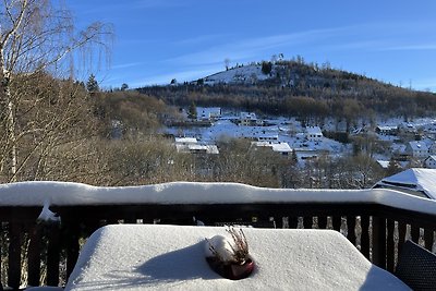 Vakantiehuis Ontspannende vakantie Willingen